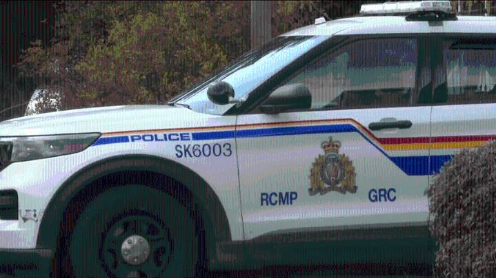Sooke RCMP investigating after two dogs shot, one fatally