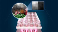 New Cancer Fighting Treatment Uses LED Light To Kill Cancer Cells Without Harming Healthy Ones