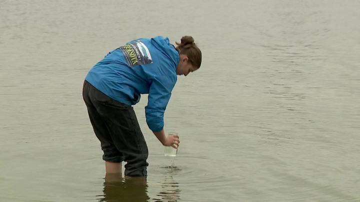 40 Minnesota waterways test positive for microplastics pollution