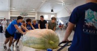 Photos: Giant gourds tip the scales at Pumpkinfest in Anamosa