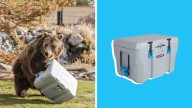 Lifetime Bear-Resistant Camping Cooler on sale at Walmart