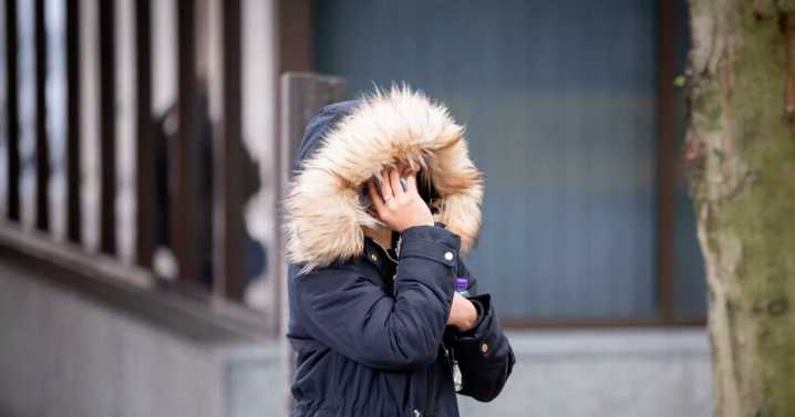 Mum claimed £56k Universal Credit from DWP - but she owned her house