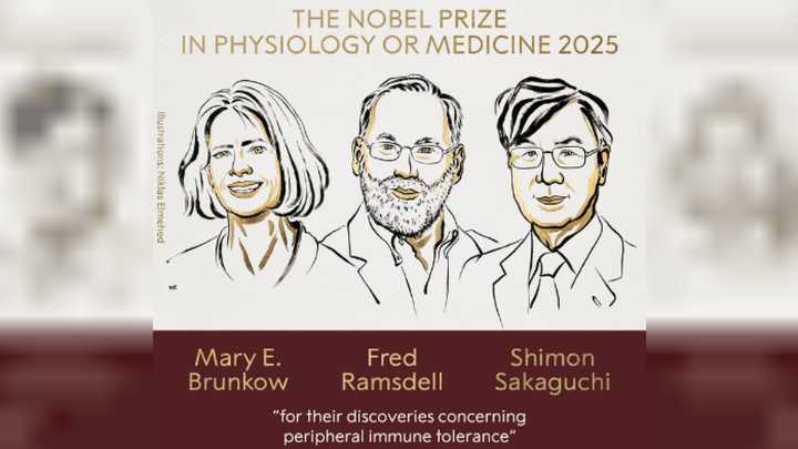 El premio Nobel de Medicina fue otorgado a Mary E. Brunkow, Fred Ramsdell y Shimon Sakaguchi