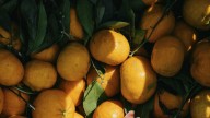 El 69% de las mandarinas analizadas en España contiene 2 o más pesticidas distintos, según un informe