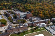 UMich study links bioactive lipids to child neurodevelopmental problems