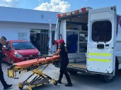 Un muerto y siete heridos en Abasolo y El Mante, Tamaulipas por ataques de abejas africanas