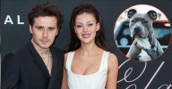EXCLUSIVE: Nicola Peltz's Family Sued Over Pit Bull Attack