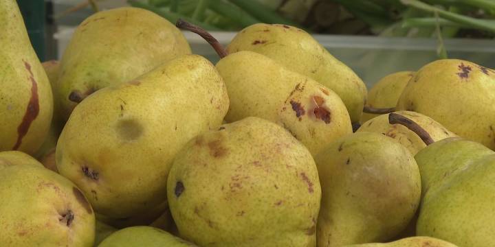 Ohio leaders to provide $25 million in support for food assistance amid SNAP cuts