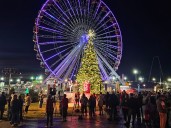 Branson plans synchronized Christmas tree lighting in 2025