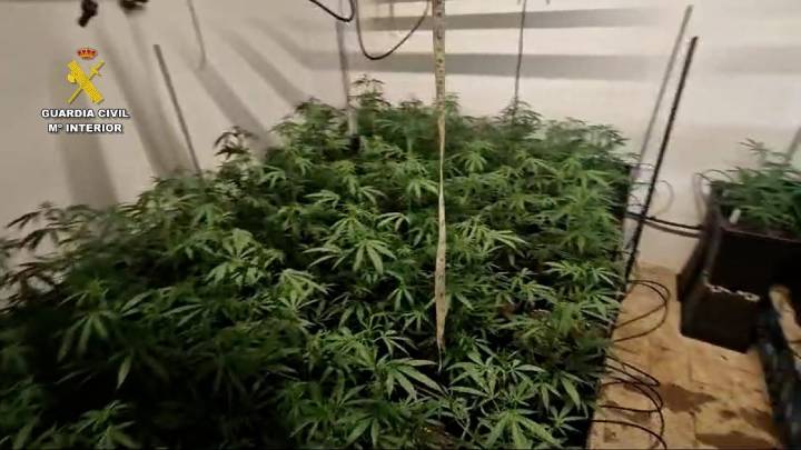 La Guardia Civil detiene a nueve personas en Osuna por tráfico de drogas a países europeos