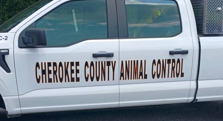 Vaccine & Microchip Clinic Postponed