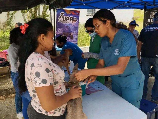 En Ocumare del Tuy celebran el Día de los animales con jornada veterinaria