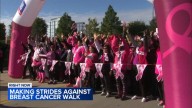 Thousands to participate in Making Strides Against Breast Cancer Walk at Chicago's Soldier Field