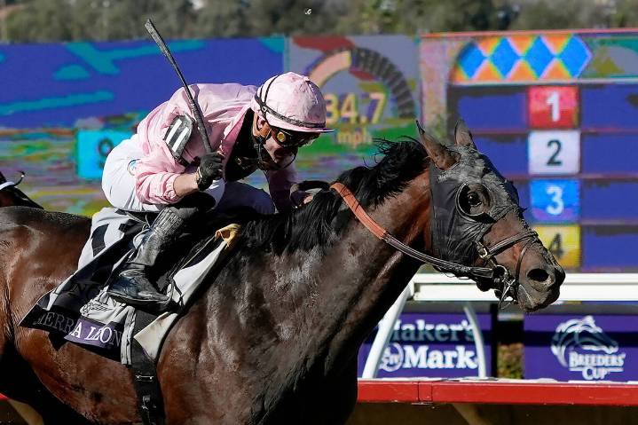 Breeders’ Cup Classic odds, horse-by-horse analysis by handicapper