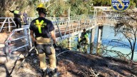 Sofocan un incendio en el entorno del Jardín Americano, en la Isla de la Cartuja