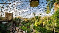 A first peek at the Des Moines Botanical Garden's renovated spaces