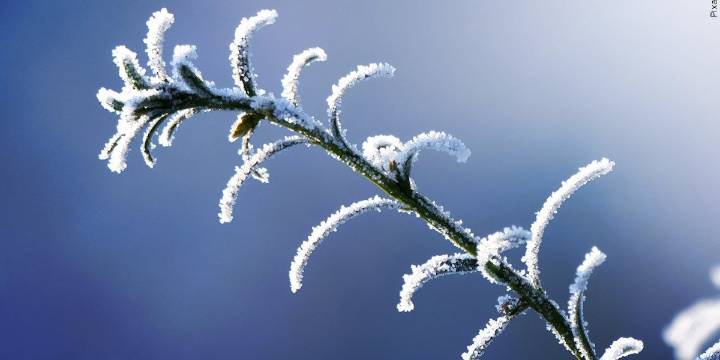 North Country sees first frost of the season