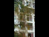 Jury selection underway in trial for killing of Scott Brooks