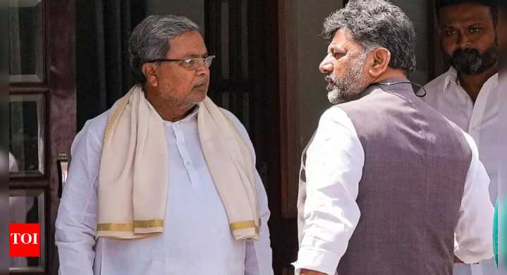 'Full five-year term': Another Cong MLA roots for DKS as Karnataka CM; Siddaramaiah holds ground