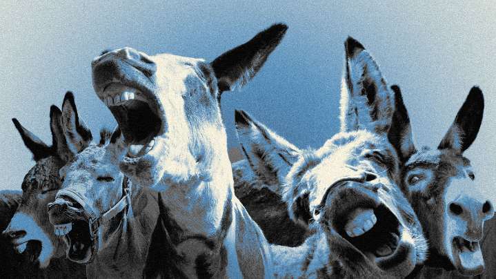 Enraged Democratic candidates turn on their leaders: "You've got to be able to fight ugly"