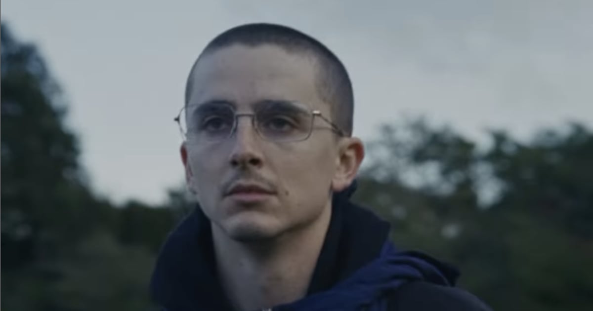Timothée Chalamet Stuns Fans With Tight Buzzcut
