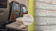 'Hanged Until Death': Air India's 'Action' After Cockroach Spotted On Delhi