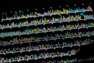 AI Model Digs Up Rare Somatic Variants for Precision Oncology Pipelines