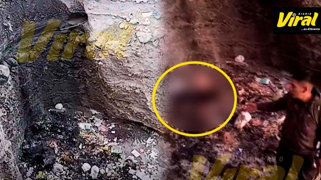 Hallan cuerpos incinerados de perros en torrentera de Cerro Colorado y activistas exigen investigación