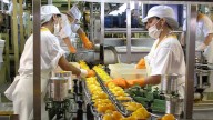 La actividad económica subió 2,4% interanual en agosto