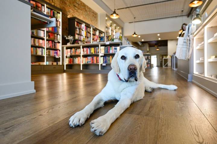 Boulder County author signings, book sales and literary events for the next month