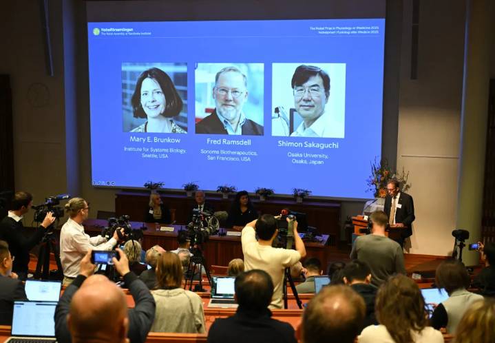 Nobel de Medicina premia descubrimientos sobre enfermedades autoinmunes