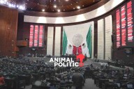 Diputados inician discusión de miscelánea fiscal; Morena prevé aumentar impuestos y tarifas en 2026