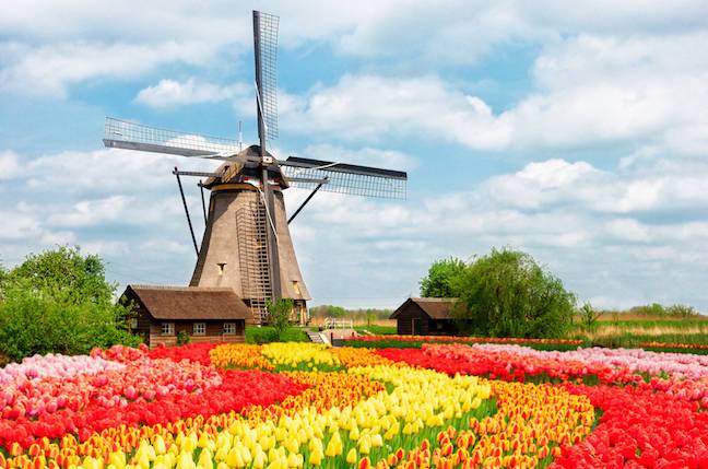 Nexperia denies ousted CEO’s claim China unit’s gone solo • The Register