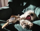 K-dramas: historias exageradas que nos abrazan cálidamente