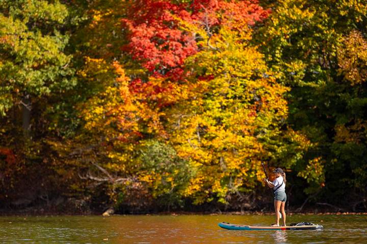 PHOTOS: Fall is in full swing in and around London