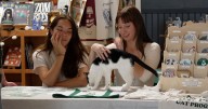 Cal Poly Cat Program hosts adoption event at Arroyo Grande bookstore