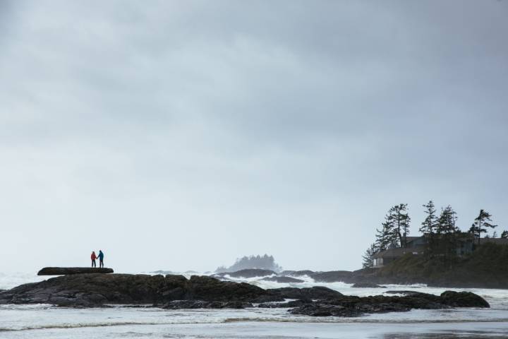 Regeneration in Motion: Sustaining the Edge of the World