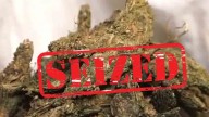 Marijuana Worth Rs. 1.30 Crore Seized In Sangareddy