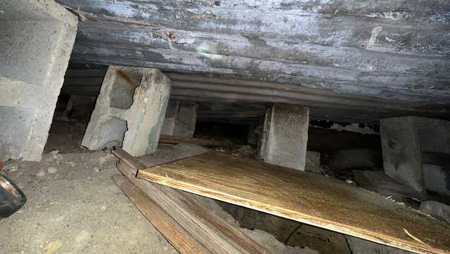 Mississippi firefighters rescue dog trapped in an old well