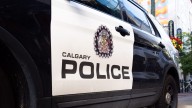 Dozens of puppies dashing around NW Calgary neighbourhood seized by police