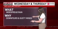 Widespread rain Wednesday