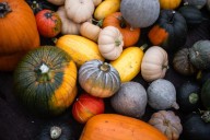 Music, food, fun planned for South Surrey harvest fest