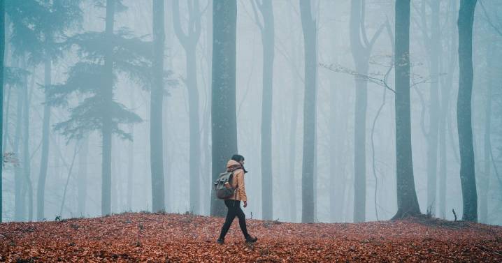 The most haunted woodland in the UK includes Devon gorge with sinister history