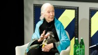 Dr. Jane Goodall Dead At 91