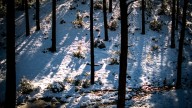 Predicciones meteorológicas de AccuWeather para el invierno de 2025