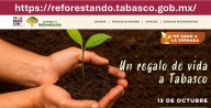 Tabasco iniciará jornada de reforestación con meta de 2.4 millones de árboles