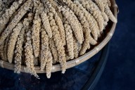 Sinaloa negocia con empresa China para venta de sorgo; ayudará a agricultores del estado
