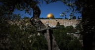 Photos show monks and nuns harvesting olives on the Holy Land’s Mount of Olives