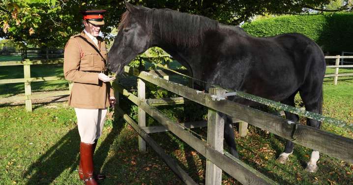 British army horse who ran through the streets of London gets well
