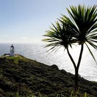 New Zealand's seas warming faster than global average: report